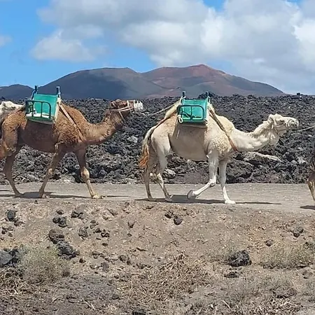 公寓 Casita Vista Mar Moreras *